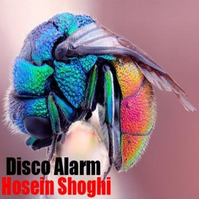 Hossein%20Shoghi%20 %20Disco%20Alarm - Hossein Shoghi - Disco Alarm